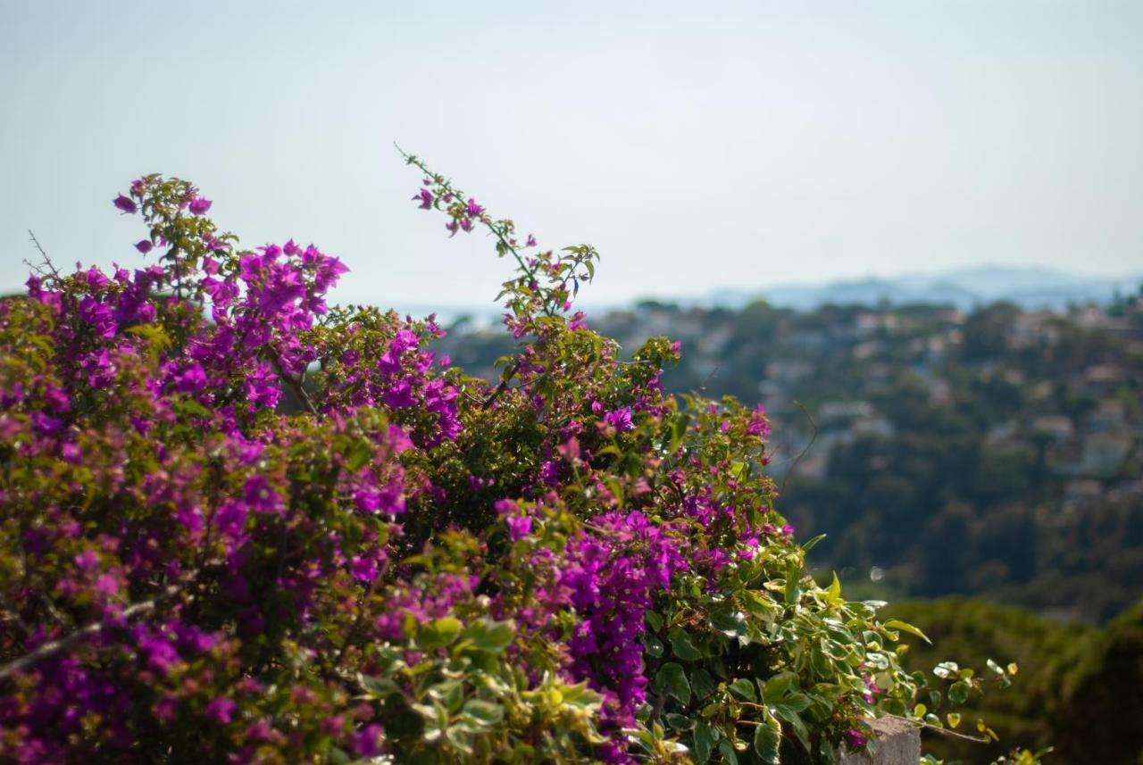 Holiday home Santa Monica - Energia Mediterranea Tossa de Mar